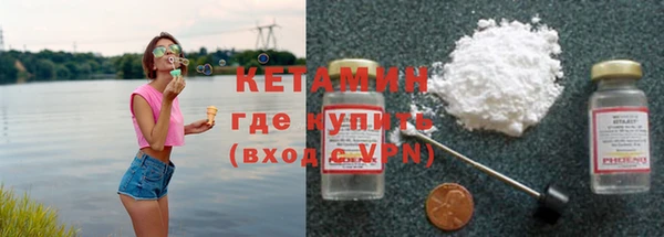 индика Верея
