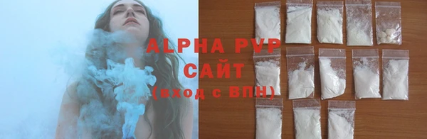 индика Верея