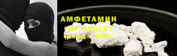 индика Верея