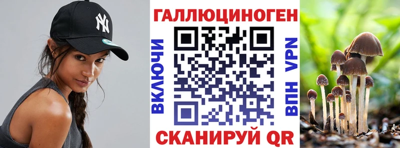 Псилоцибиновые грибы GOLDEN TEACHER Котлас