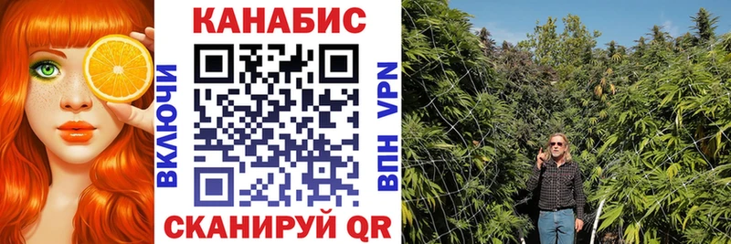 Канабис семена  Котлас 